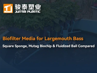 Biofiltra vide lielām asarām: kvadrātveida sūklis, mutags biočips un šķidrā b...